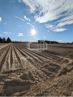 terrain agricole à la vente -   66410  VILLELONGUE DE LA SALANQUE, surface 11614 m2 vente terrain agricole - UBI410033720